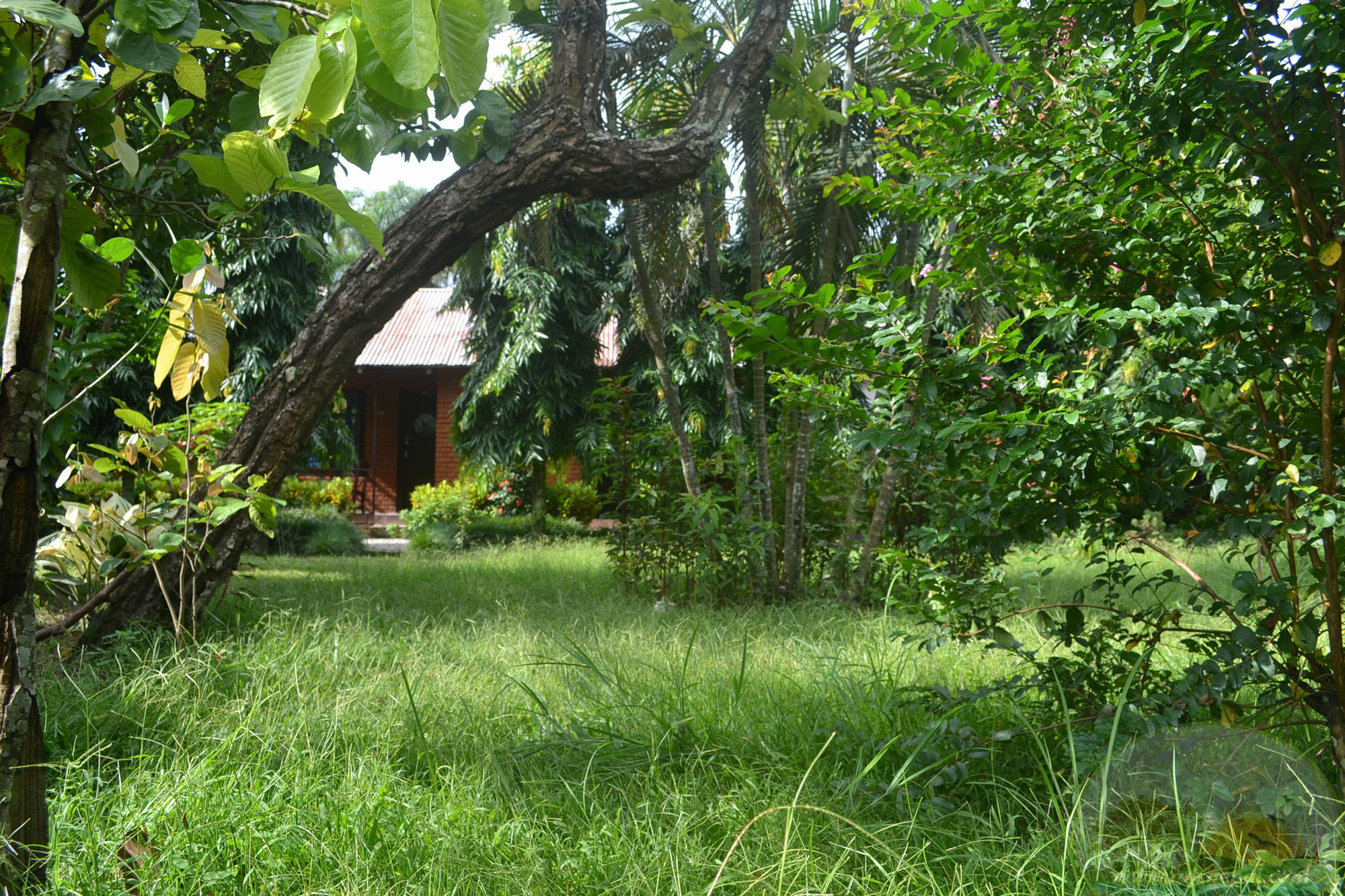 River View Jungle Camp Sauraha Extérieur photo
